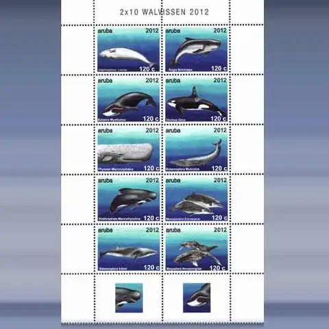 Zeezoogdieren (2012)
