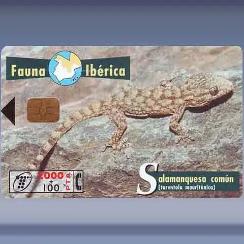 Salamander (1998)