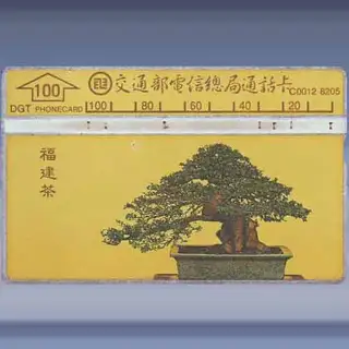 Pot Plant 4/4 (1993)