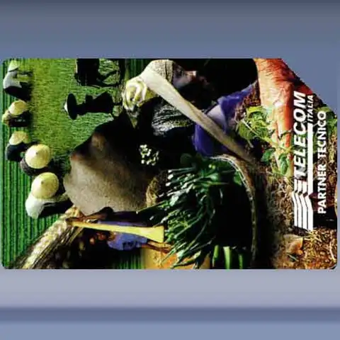 IFAD (1998)