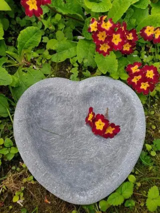 Vogelbad , moederdag kado , moederdag