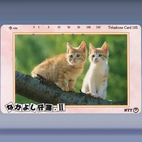 katten 4557