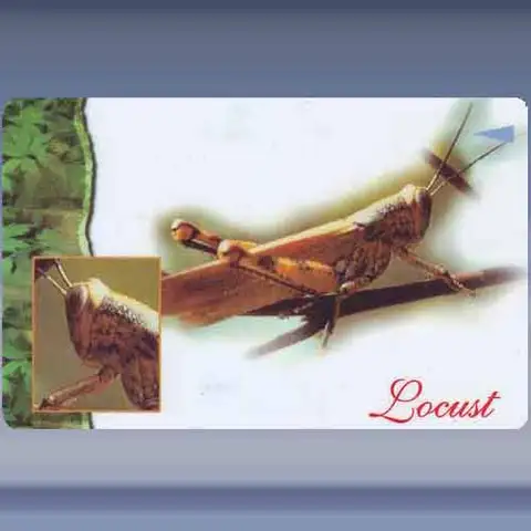 Insecten (4) (1997)