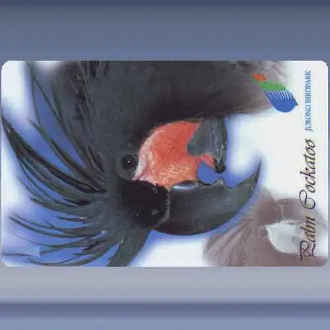 Papagaai (5) (1997)