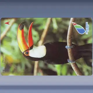 Jurong Birdpark Singapore (1996)