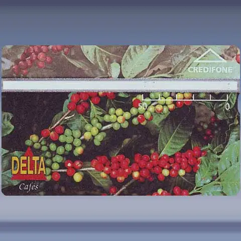 Delta Cafes (1995)