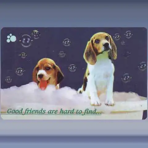 Good friends are... (1997)
