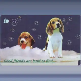 Good friends are... (1997)