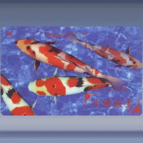 Vissen (1996)