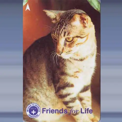 Friends for Life (1997)