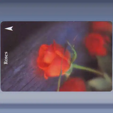 Roos (1994)