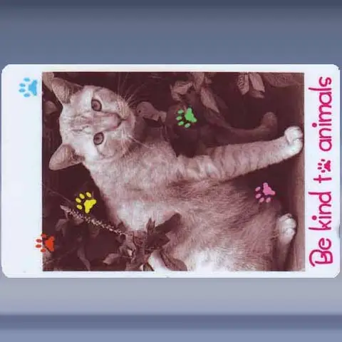 Be kind to Animals (1996)