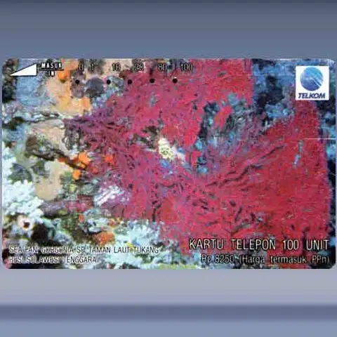 Sea Fan (1993)