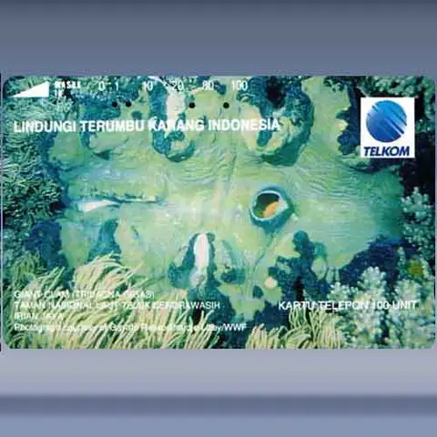 Tridacna Gigas (1994)