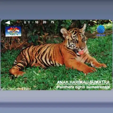 Anak Harimau Sumatra (1996)