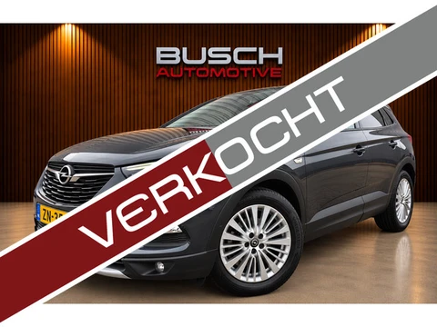 Opel Grandland X 1.2 Turbo Innovation D-RIEM IS VERVANGEN!