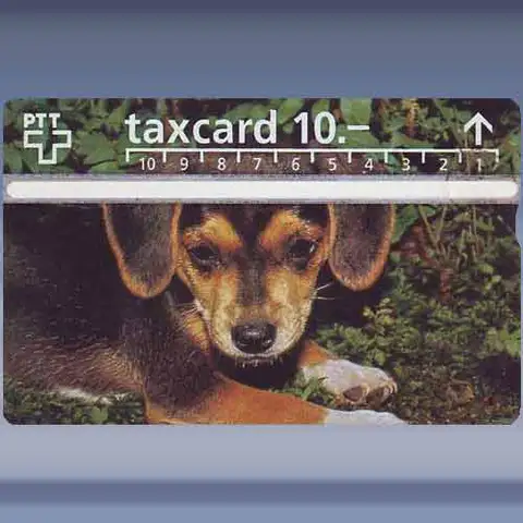 Hond (606C) (1996)