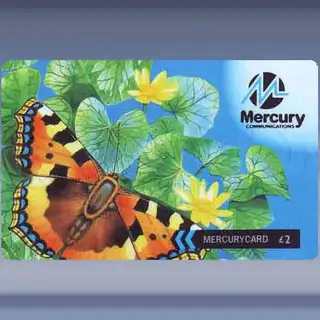Butterfly (E)