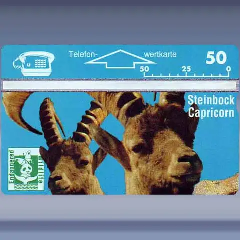 SRH-Steinbock (1994)