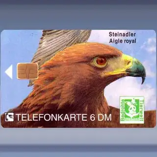 Wildlife 1 - Steenarend (1994)