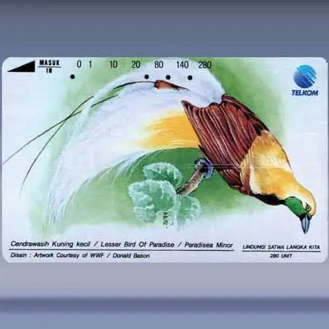 Lesser Bird of Paradise (1993)