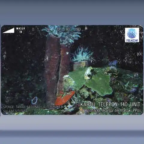 Sponges, Bunaken National,,, (1993)
