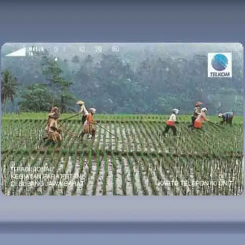Kegiatan Petani, Subang (1993)