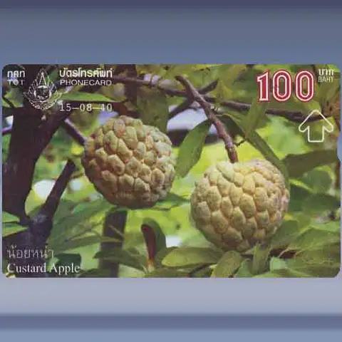 Thai Fruit 2/4 (1997)