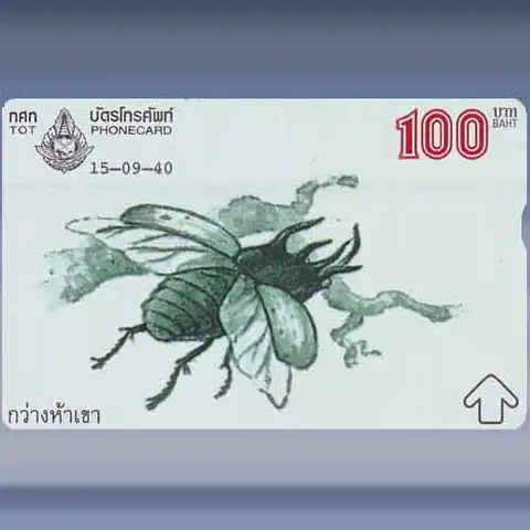 Animal Drawing (1/4) (1997)