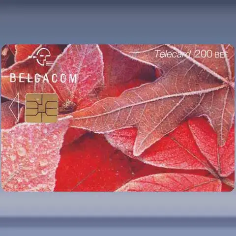 Leaves Red (2000)