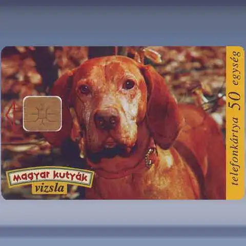Retriever (1997)