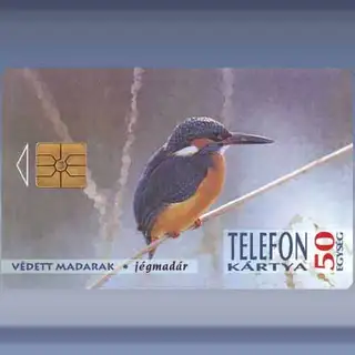 IJsvogel (1994)