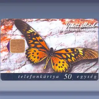 Vlinder (1998)