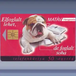 Bulldog (1998)