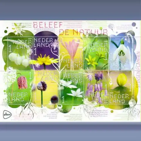 Beleef de Natuur, Planten (2019)