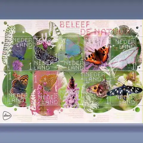 Beleef de Natuur, Vlinders (2019)