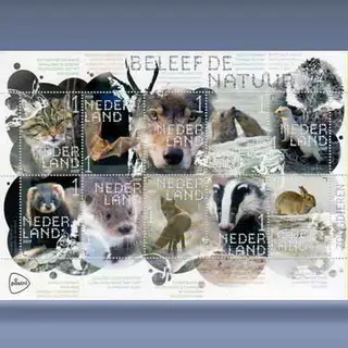 Beleef de Natuur, Zoogdieren (2019)