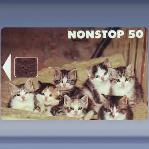 Katten (1993)