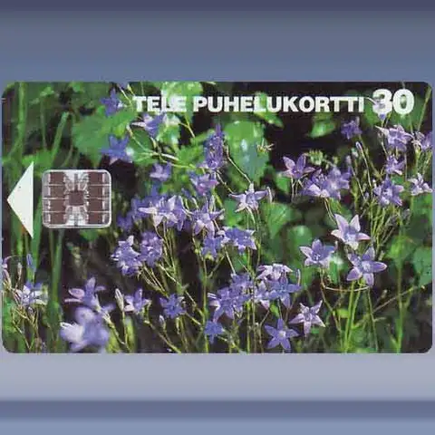 Spreding Bellflowers (1995)