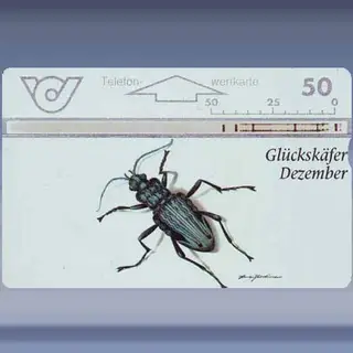 Glückskäfer (1997)