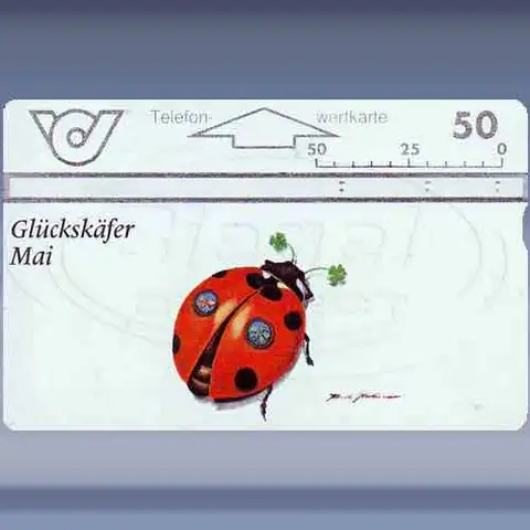 Gl&uuml;cksk&auml;fer-Mai (1996)