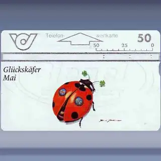 Gl&uuml;cksk&auml;fer-Mai (1996)