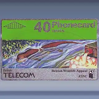 Wildlife Appeal (1990)