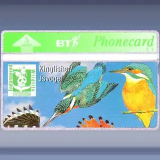 IJsvogel (mei-1994)