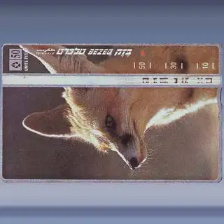 Vulpes rueppellii (1998)