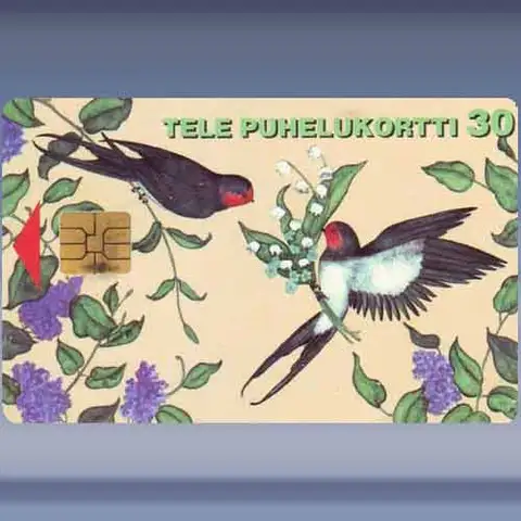 Gefeliciteerd (1997)