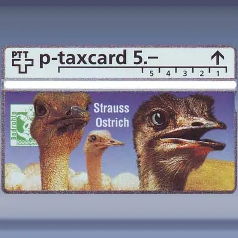 Struisvogels (425L) (1994)