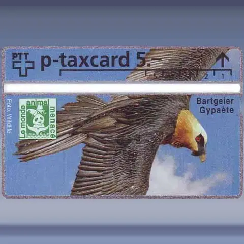 Bartgeier (401L) (1994)