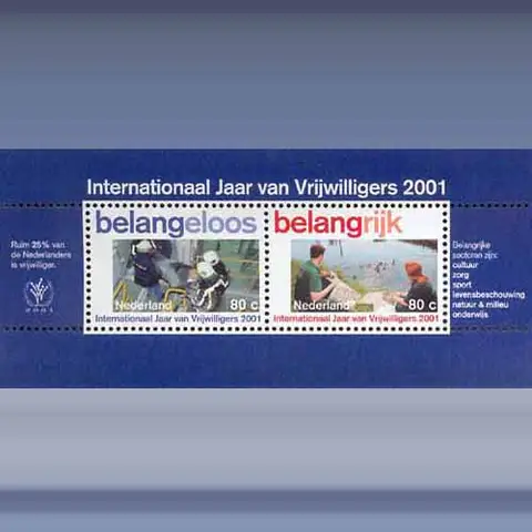 Vrijwilligerswerk (blok) (2001)