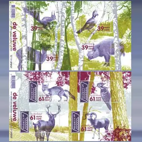 De Veluwe (2004)